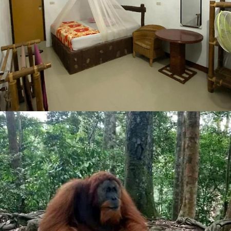 武吉拉旺棕竹山林小屋 外观 照片