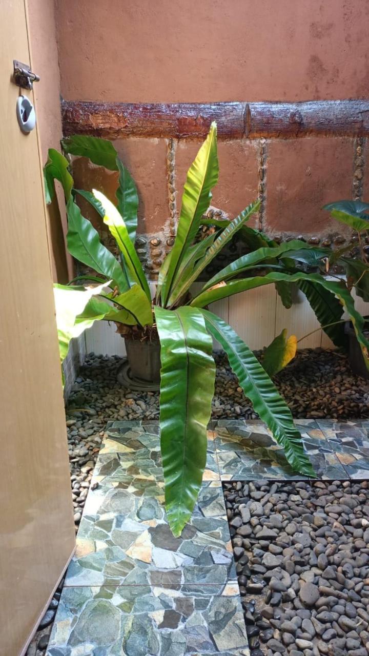 武吉拉旺棕竹山林小屋 外观 照片