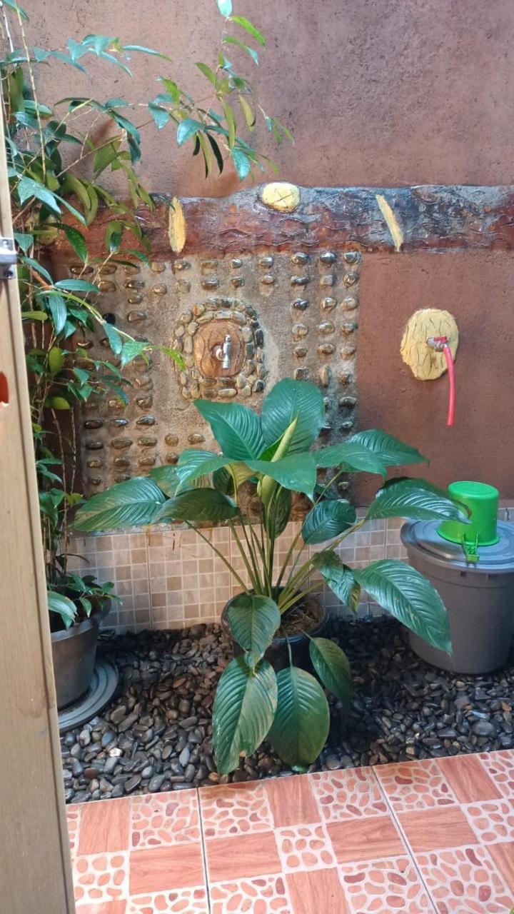 武吉拉旺棕竹山林小屋 外观 照片